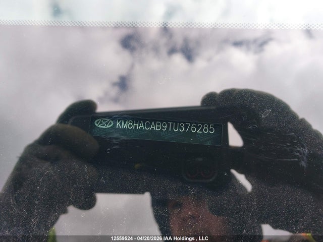 KM8HACAB9TU376285 Hyundai Kona