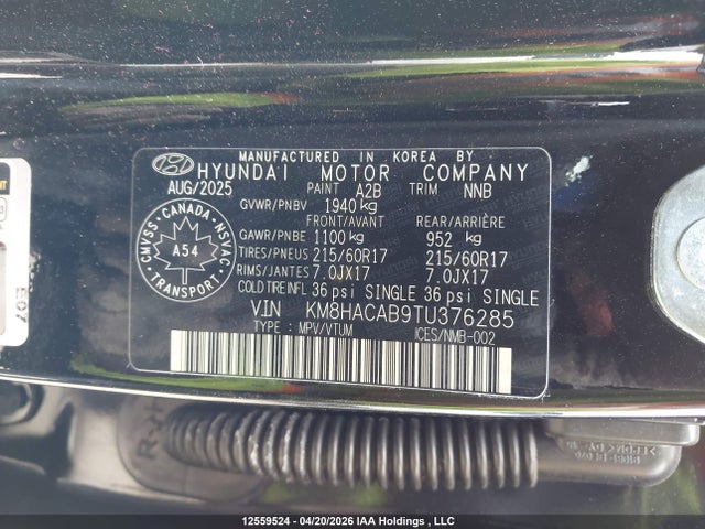 KM8HACAB9TU376285 Hyundai Kona