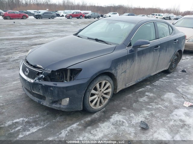12559545 :رقم المزاد ، JTHCF5C20A5039681 vin ، 2010 Lexus Is 250 مزاد بيع