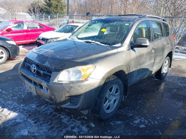 Aukcja sprzedaży 2010 Toyota Rav4, vin: 2T3BF4DV4AW068299, numer aukcji: 12559554