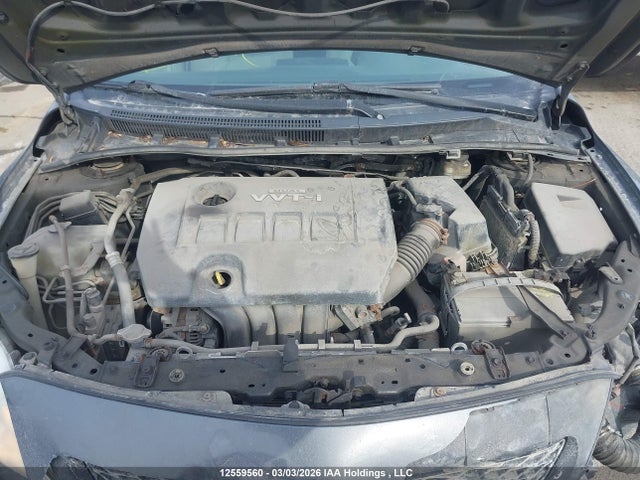 12559560 :رقم المزاد ، 2T1BU4EE8AC219773 vin ، 2010 Toyota Corolla S/le/xle مزاد بيع
