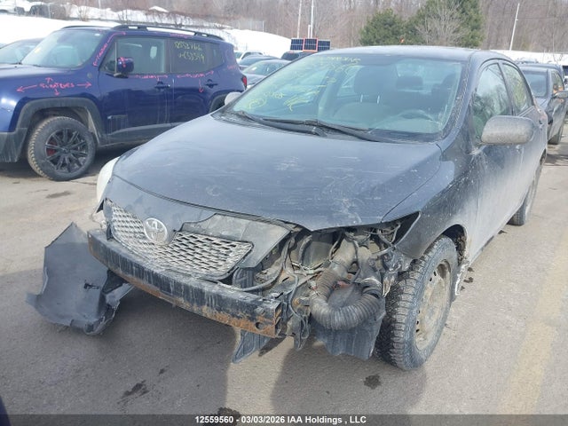 12559560 :رقم المزاد ، 2T1BU4EE8AC219773 vin ، 2010 Toyota Corolla S/le/xle مزاد بيع