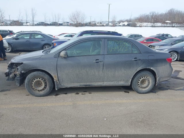 12559560 :رقم المزاد ، 2T1BU4EE8AC219773 vin ، 2010 Toyota Corolla S/le/xle مزاد بيع