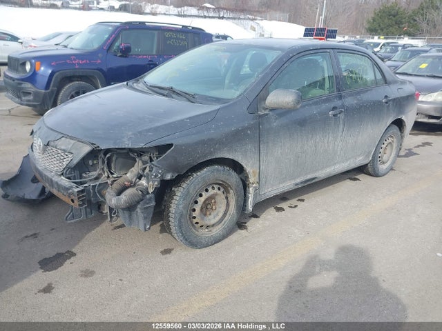 12559560 :رقم المزاد ، 2T1BU4EE8AC219773 vin ، 2010 Toyota Corolla S/le/xle مزاد بيع