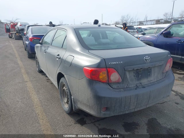 12559560 :رقم المزاد ، 2T1BU4EE8AC219773 vin ، 2010 Toyota Corolla S/le/xle مزاد بيع