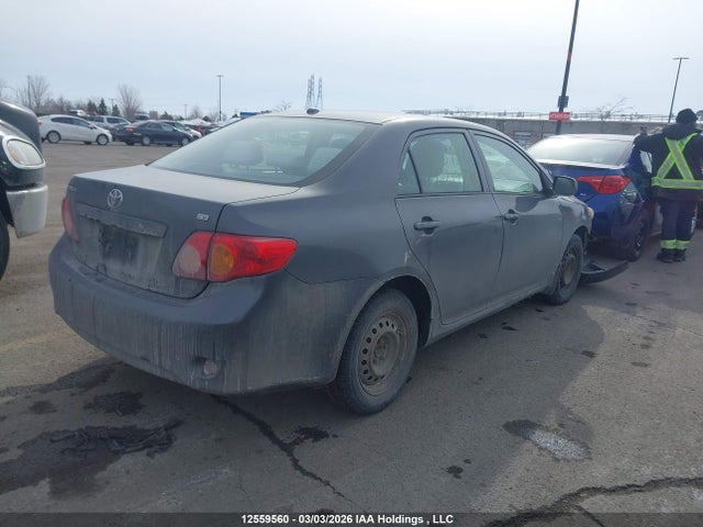 12559560 :رقم المزاد ، 2T1BU4EE8AC219773 vin ، 2010 Toyota Corolla S/le/xle مزاد بيع