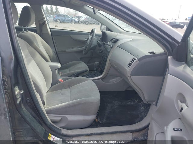 12559560 :رقم المزاد ، 2T1BU4EE8AC219773 vin ، 2010 Toyota Corolla S/le/xle مزاد بيع