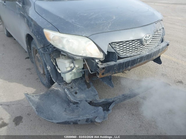 12559560 :رقم المزاد ، 2T1BU4EE8AC219773 vin ، 2010 Toyota Corolla S/le/xle مزاد بيع