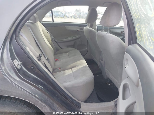 12559560 :رقم المزاد ، 2T1BU4EE8AC219773 vin ، 2010 Toyota Corolla S/le/xle مزاد بيع