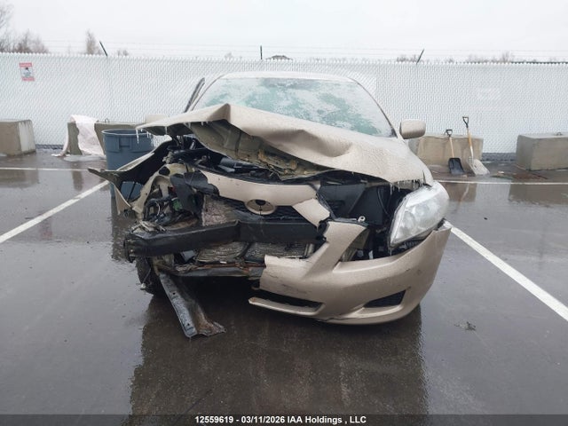 2010 Toyota Corolla S/le/xle მანქანა იყიდება აუქციონზე, vin: 2T1BU4EE9AC271834, აუქციონის ნომერი: 12559619