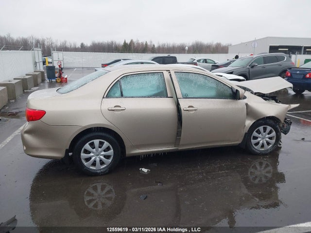 2010 Toyota Corolla S/le/xle მანქანა იყიდება აუქციონზე, vin: 2T1BU4EE9AC271834, აუქციონის ნომერი: 12559619