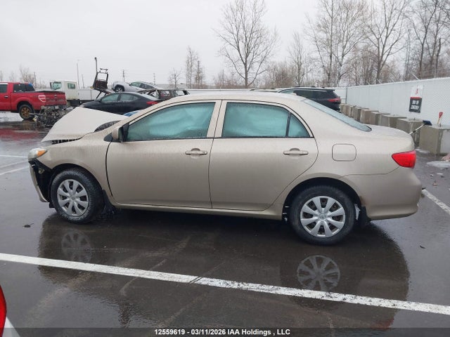 2010 Toyota Corolla S/le/xle მანქანა იყიდება აუქციონზე, vin: 2T1BU4EE9AC271834, აუქციონის ნომერი: 12559619