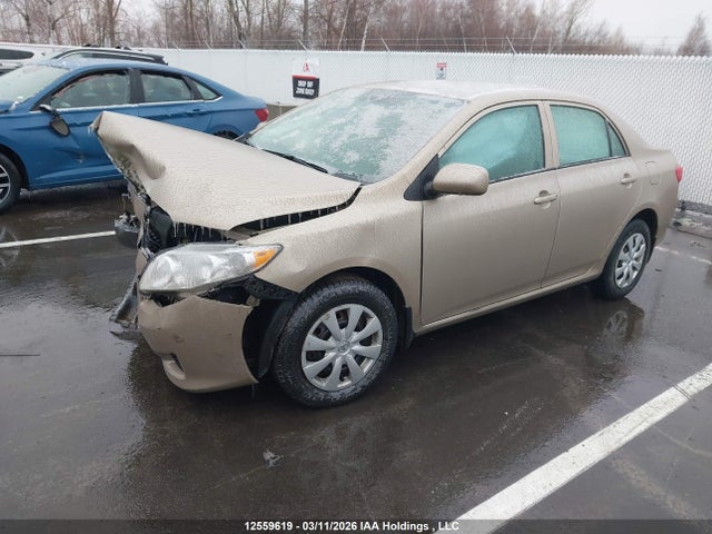 2010 Toyota Corolla S/le/xle მანქანა იყიდება აუქციონზე, vin: 2T1BU4EE9AC271834, აუქციონის ნომერი: 12559619
