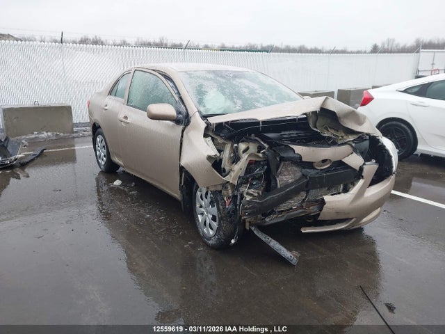 2010 Toyota Corolla S/le/xle მანქანა იყიდება აუქციონზე, vin: 2T1BU4EE9AC271834, აუქციონის ნომერი: 12559619