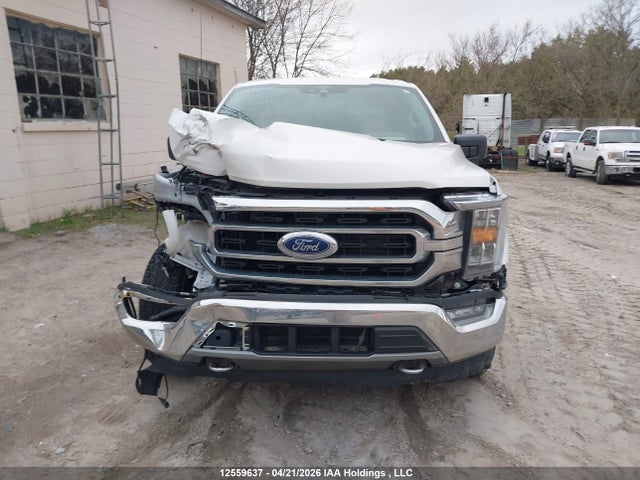 Продажа на аукционе авто 2021 Ford F-150, vin: 1FTEW1EP3MFB33838, номер лота: 12559637