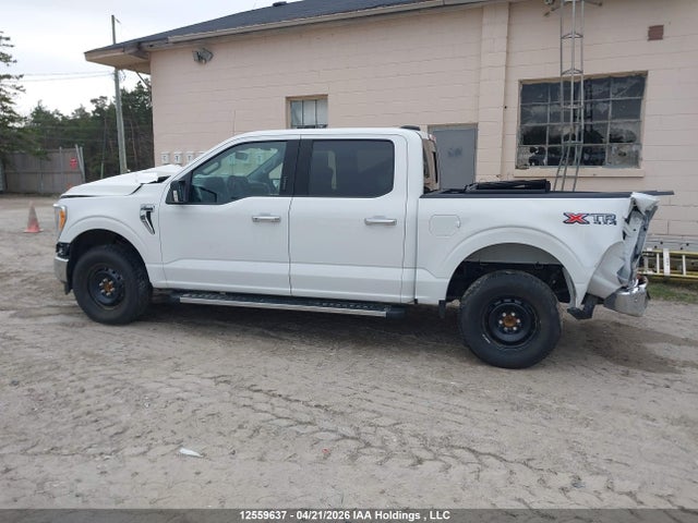 Продажа на аукционе авто 2021 Ford F-150, vin: 1FTEW1EP3MFB33838, номер лота: 12559637