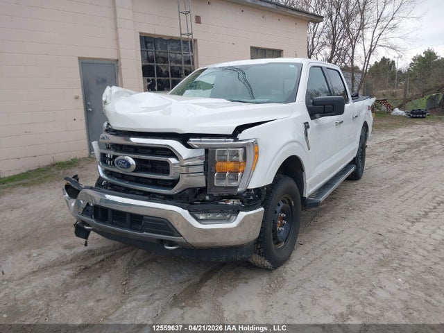 Продажа на аукционе авто 2021 Ford F-150, vin: 1FTEW1EP3MFB33838, номер лота: 12559637