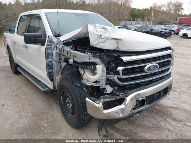Продажа на аукционе авто 2021 Ford F-150, vin: 1FTEW1EP3MFB33838, номер лота: 12559637