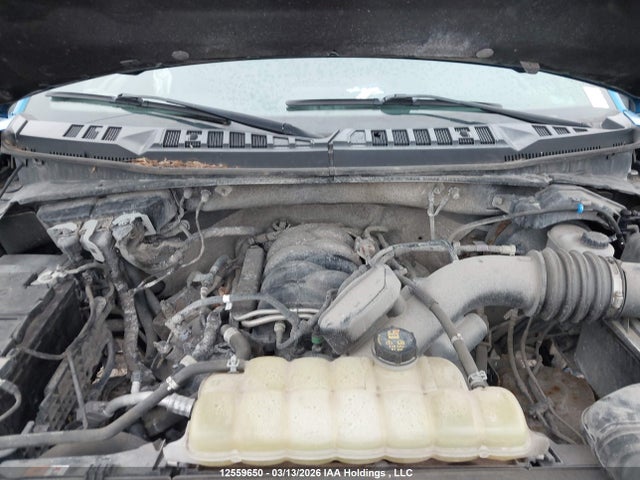 Продаж на аукціоні авто 2019 Ford F150 Supercrew, vin: 1FTEW1E53KFA88184, номер лоту: 12559650