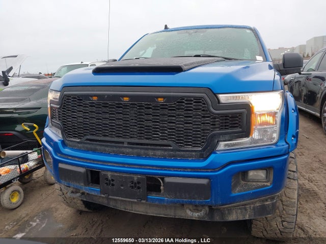 Продаж на аукціоні авто 2019 Ford F150 Supercrew, vin: 1FTEW1E53KFA88184, номер лоту: 12559650