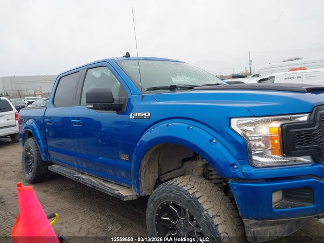 Продаж на аукціоні авто 2019 Ford F150 Supercrew, vin: 1FTEW1E53KFA88184, номер лоту: 12559650