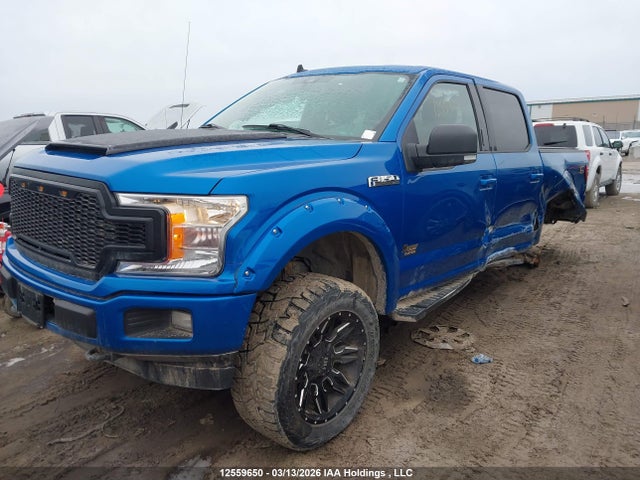 Продаж на аукціоні авто 2019 Ford F150 Supercrew, vin: 1FTEW1E53KFA88184, номер лоту: 12559650