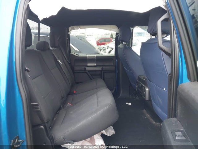 Продаж на аукціоні авто 2019 Ford F150 Supercrew, vin: 1FTEW1E53KFA88184, номер лоту: 12559650