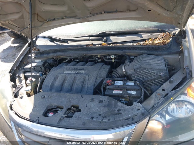 2008 Honda Odyssey Ex მანქანა იყიდება აუქციონზე, vin: 5FNRL38448B504328, აუქციონის ნომერი: 12559662