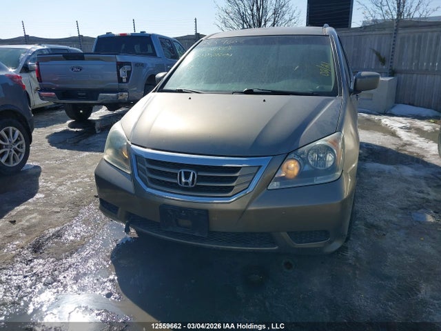 2008 Honda Odyssey Ex მანქანა იყიდება აუქციონზე, vin: 5FNRL38448B504328, აუქციონის ნომერი: 12559662