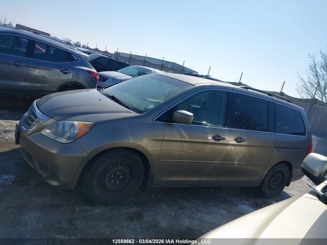 2008 Honda Odyssey Ex მანქანა იყიდება აუქციონზე, vin: 5FNRL38448B504328, აუქციონის ნომერი: 12559662