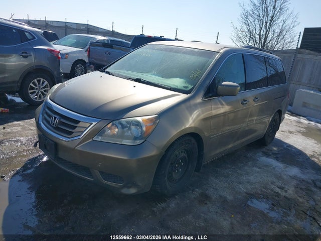 2008 Honda Odyssey Ex მანქანა იყიდება აუქციონზე, vin: 5FNRL38448B504328, აუქციონის ნომერი: 12559662
