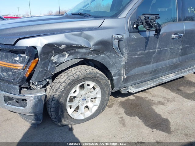 1FTFW3L86SKE61206 Ford F150 Xlt