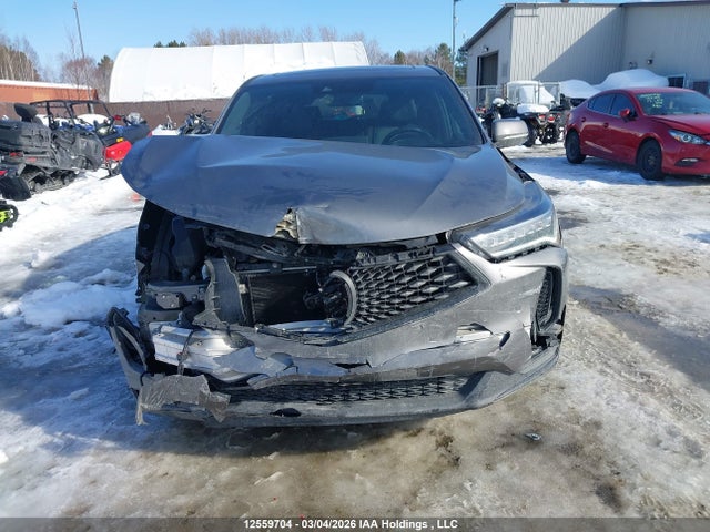 5J8TC2H89PL805483 Acura Rdx Platinum Elite A-spec