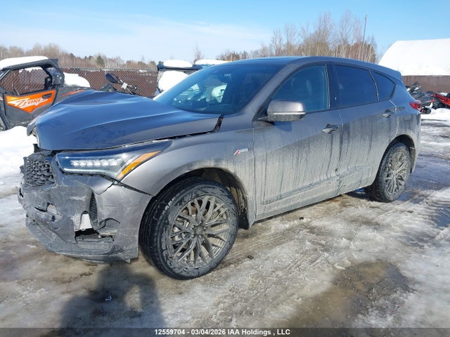 5J8TC2H89PL805483 Acura Rdx Platinum Elite A-spec