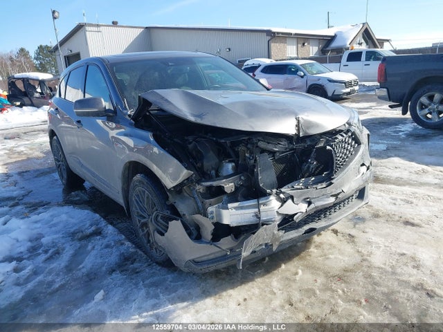 5J8TC2H89PL805483 Acura Rdx Platinum Elite A-spec