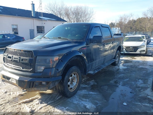 2014 Ford F150 Supercrew მანქანა იყიდება აუქციონზე, vin: 1FTFW1EF8EFC44625, აუქციონის ნომერი: 12559713