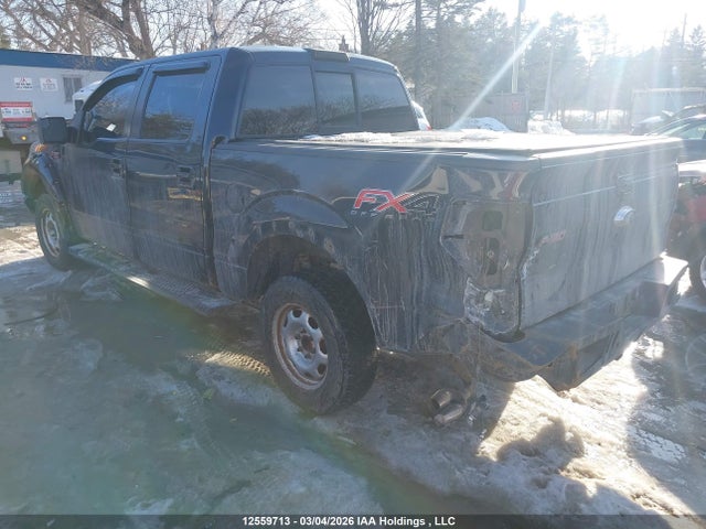 2014 Ford F150 Supercrew მანქანა იყიდება აუქციონზე, vin: 1FTFW1EF8EFC44625, აუქციონის ნომერი: 12559713