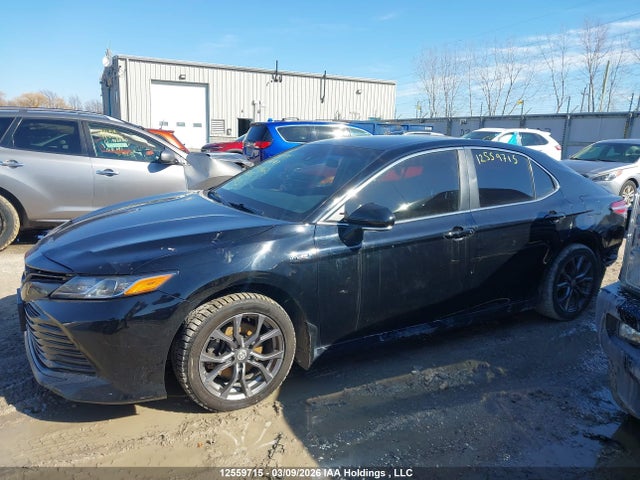 4T1B31HKXJU003862 Toyota CAMRY HYBRID
