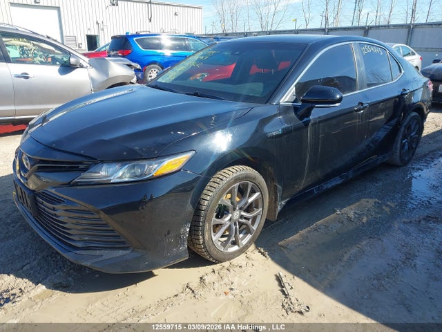 4T1B31HKXJU003862 Toyota CAMRY HYBRID