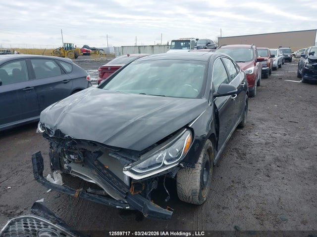 Продаж на аукціоні авто 2019 Hyundai Sonata Essential, vin: 5NPE34AF5KH794930, номер лоту: 12559717