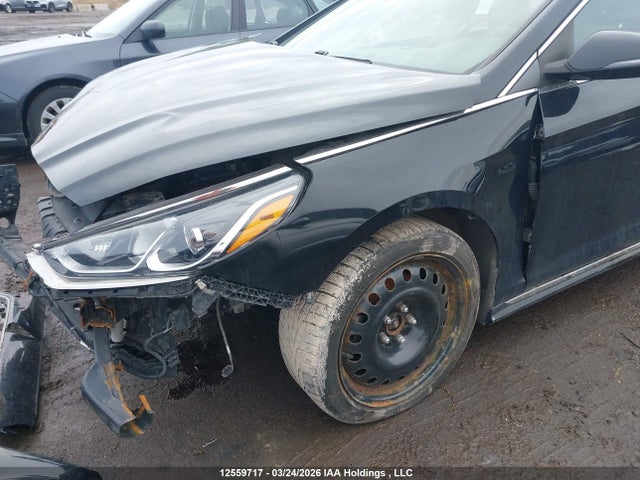 Продаж на аукціоні авто 2019 Hyundai Sonata Essential, vin: 5NPE34AF5KH794930, номер лоту: 12559717