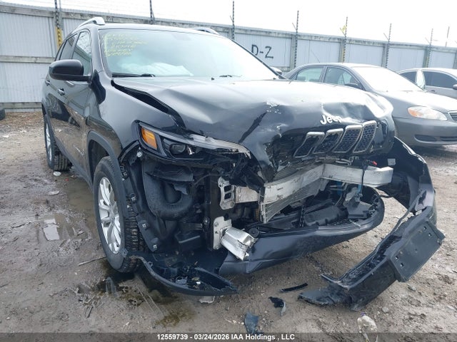 12559739 :رقم المزاد ، 1C4PJMCX0KD210718 vin ، 2019 Jeep Cherokee Latitude مزاد بيع