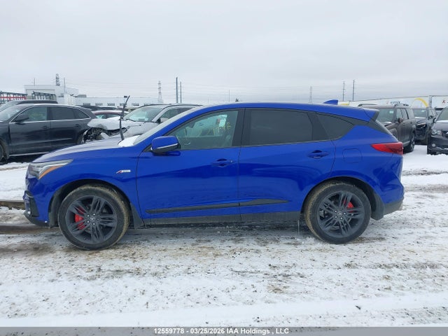 5J8TC2H65KL801616 Acura RDX