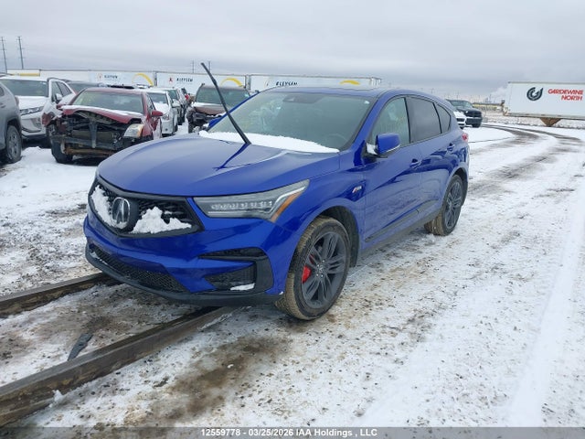 5J8TC2H65KL801616 Acura RDX