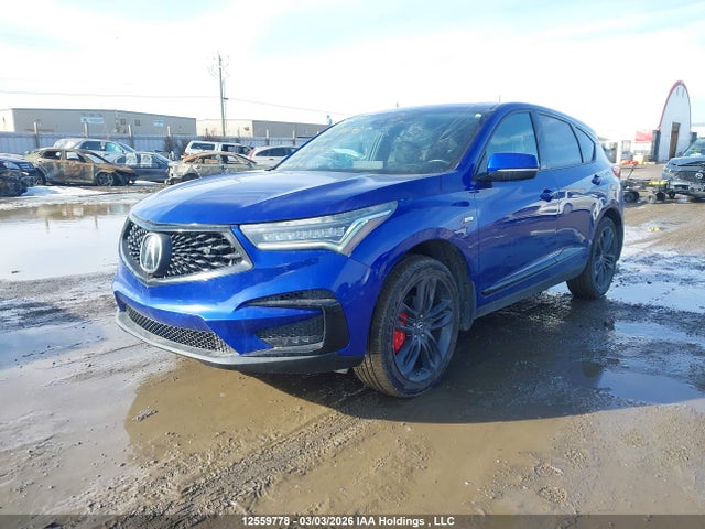 5J8TC2H65KL801616 Acura RDX