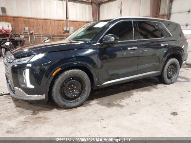 KM8R5DGE9PU510413 Hyundai Palisade Ultimate Calligraphy