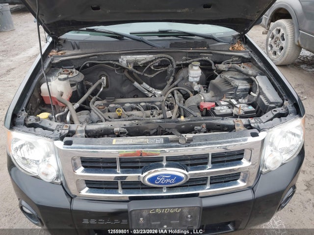 12559801 :رقم المزاد ، 1FMCU0D72BKB41888 vin ، 2011 Ford Escape Xlt Automatic مزاد بيع