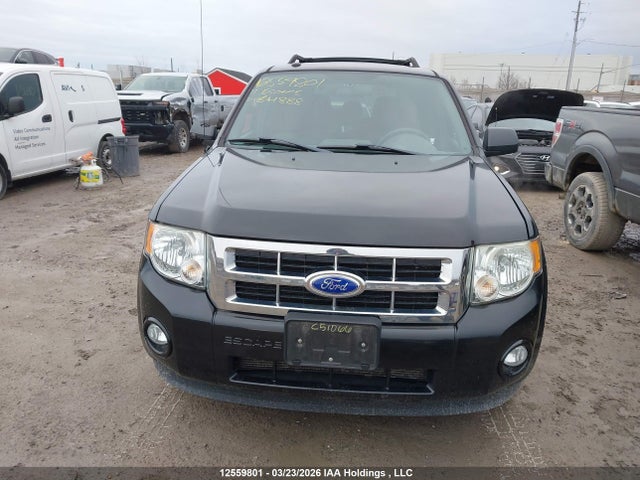 12559801 :رقم المزاد ، 1FMCU0D72BKB41888 vin ، 2011 Ford Escape Xlt Automatic مزاد بيع
