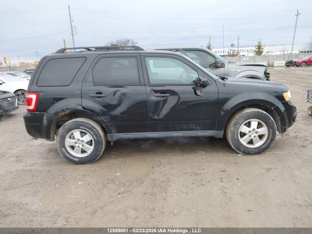 12559801 :رقم المزاد ، 1FMCU0D72BKB41888 vin ، 2011 Ford Escape Xlt Automatic مزاد بيع