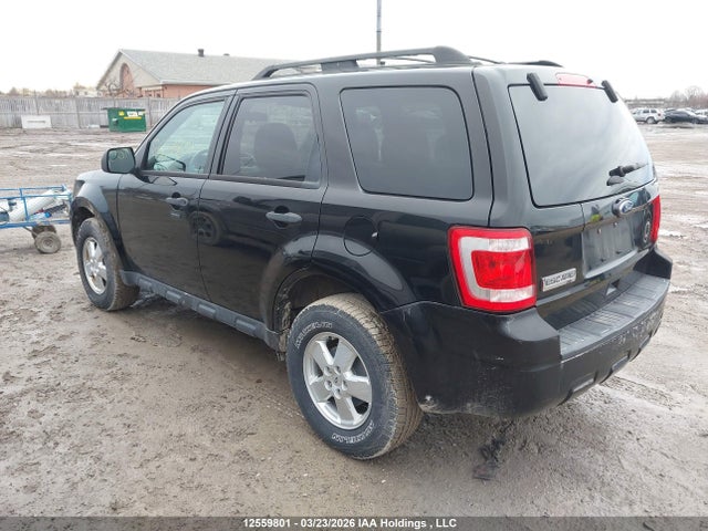12559801 :رقم المزاد ، 1FMCU0D72BKB41888 vin ، 2011 Ford Escape Xlt Automatic مزاد بيع